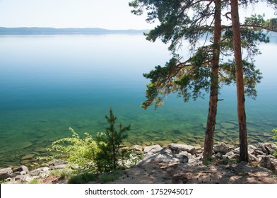 Lake Turgoyak With Pine Trees Growing On Its Shore, Chelyabinsk Region, Russian Federation