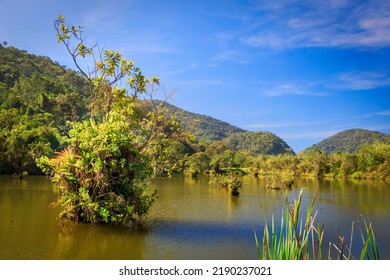 Lake Ubatuba Beach Brasil Natureza