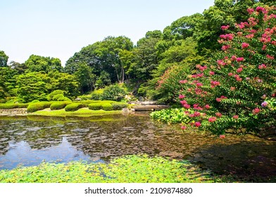 Lake In Ueno Park Tokyo