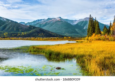 Lake Vermillon among the yellow fall grass. Grandiose landscape in the Rocky Mountains of Canada.