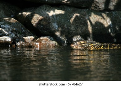 Lake Victoria - The Source Of The River Nile - Uganda - The Pearl Of Africa