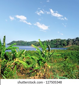 Lake Victoria, Uganda, East Africa