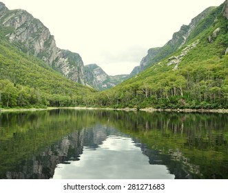 Lake View 