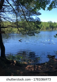 Lake View Along The Ice Age Trail