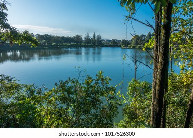 lake view background with trees