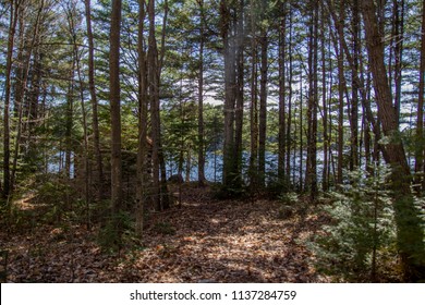 Cabin Woods Lake Images Stock Photos Vectors Shutterstock