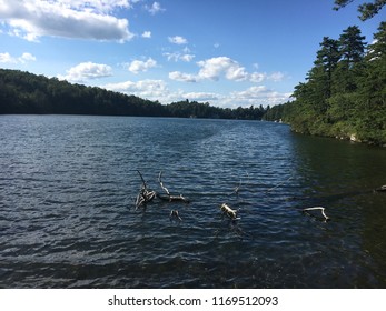 Lake view with clouds