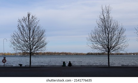 Lake View In Harbour Front