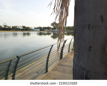 Lake View In Menachem Begin, Darom Park, Tel-Aviv, Israel