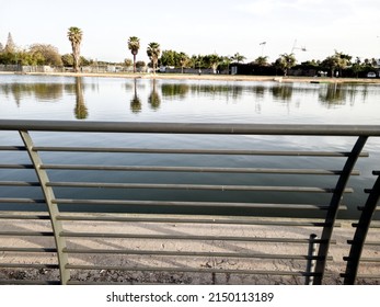 Lake View In Menachem Begin, Darom Park, Tel-Aviv, Israel