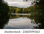 Lake view in the morning, framed by tree branches. Etelä-Konnevesi National Park in Finland.