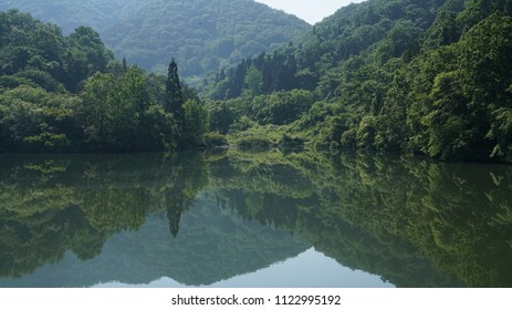 lake view reflected trees