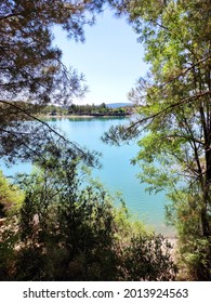 
lake view through the trees