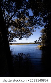 lake view through the trees