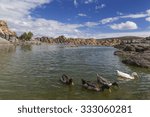 Lake views in the Arizona desert