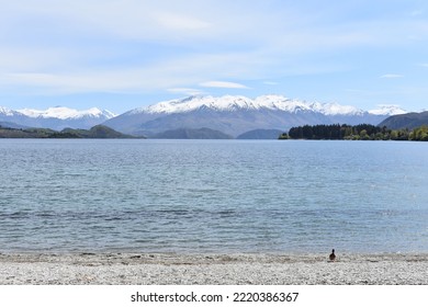 Lake Wanaka With Snow Capped Mountains In The Background