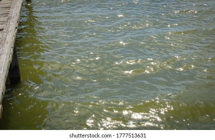 Lake Water By A Fishing Dock In White Rock Lake, Dallas, Texas