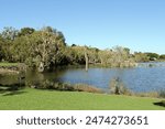 Lake of water surrounded by trees and grass under a clear blue sky at the Bundaberg Botanic Gardens in Queensland, Australia