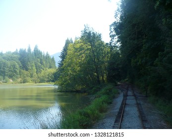 Lake Whatcom View