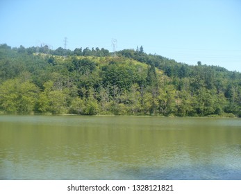 Lake Whatcom View