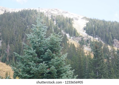 Lake Williams, Taos Ski Valley, NM