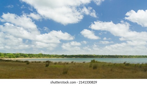 Lake At Wilpattu National Park, Sri Lanka