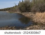 Lake Winnipeg, Hecla-Grindstone Provincial Park, Manitoba