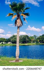 Lake Zephyr In Zephyrhills Town Of Florida. Zephyrhills Is A City In Pasco County, Florida, United States. Zephyrhills Is Also Known As The Headquarters Of The Zephyrhills Bottled Water Company And Is