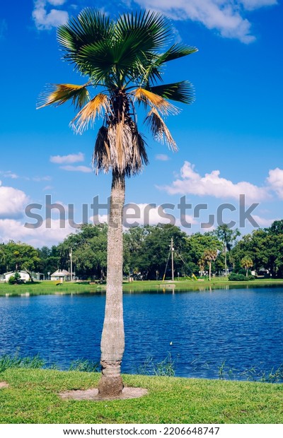 Lake zephyr in Zephyrhills town of Florida.\
Zephyrhills is a city in Pasco County, Florida, United States.\
Zephyrhills is also known as the headquarters of the Zephyrhills\
bottled water company and\
is
