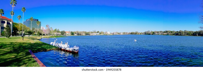 lakeland, FL USA - 03 05 2021: Spring of Lake Morton at city center of lakeland Florida	