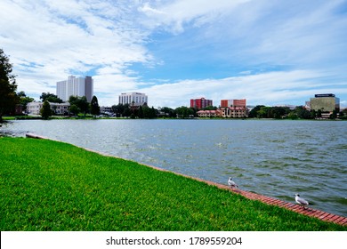 lakeland, FL / USA - 08 02 2020:  Lake Morton at city center of lakeland Florida