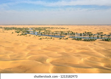 Lakes And Trees In A Beautiful Oasis In The Desert. Dubai, UAE.