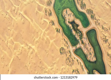 Lakes And Trees In A Beautiful Oasis In The Desert. Dubai, UAE.