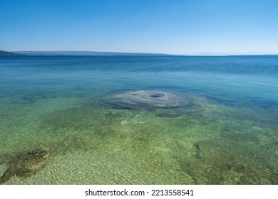 Lakeshore Geyser In Yellowstone National Park Wyoming