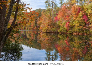 Lakeside Fall Foliage At Santeetlah Lake, North Carolina, USA.