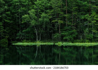 A lakeside scene with beautiful deep green. Misyaka Pond, Nagano, Japan.