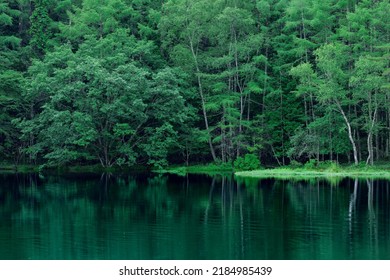 A lakeside scene with beautiful deep green. Misyaka Pond, Nagano, Japan. - Powered by Shutterstock