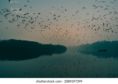 Lakeside Sunset At Yamuna Ghat, Delhi