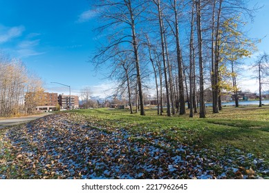 Lakeside Trail Covered With Snowy Fallen Brown Leaves Leading To Apartment Building Complex And Sea Planes Base In Lake Spenard, Anchorage, Alaska. Early October Fall Foliage With Chugach Mountain