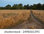 Lakewood City Urban Parks, Lakewood, Colorado, USA 