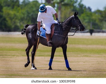 LAKEWOOD RANCH, SARASOTA, FLORIDA - MARCH 18- Wildcat Polo Player Ryan Gilbertson Warms Up For The MGA Insurance Group Cup, A U.S.P.A. Regional Classic Final, On March 18, 2012 In Sarasota, Florida