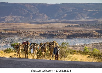 29 Ethiopian camel farm Images, Stock Photos & Vectors | Shutterstock