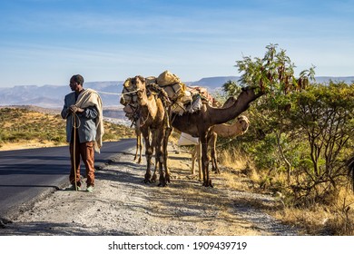 29 Ethiopian camel farm Images, Stock Photos & Vectors | Shutterstock