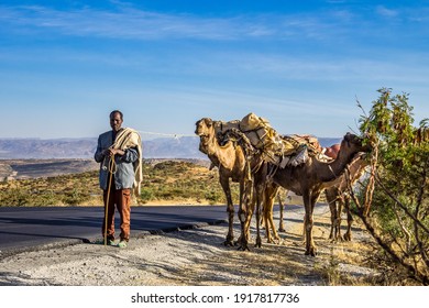 29 Ethiopian camel farm Images, Stock Photos & Vectors | Shutterstock