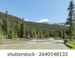 Lamar River in the Lamar Valley in Yellowstone National Park, Wyoming, USA