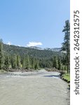 Lamar River in the Lamar Valley in Yellowstone National Park, Wyoming, USA