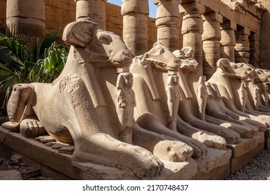 Lamb Alley Karnak Temple. Columns with hieroglyphs. Karnak temple is the largest complex in ancient Egypt.