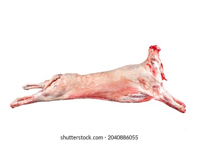 Lamb carcass on cutting table in butcher shop. Sheep carcass. Raw meat. Free space for text. Isolated on white background. - Shutterstock ID 2040886055