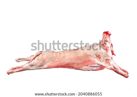 Lamb carcass on cutting table in butcher shop. Sheep carcass. Raw meat. Free space for text. Isolated on white background.