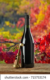 Lambrusco Wine Bottle With Vineyard In The Background